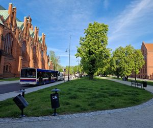 Plac Kościeleckich rozkwita na wiosnę. Bydgoszczanie chętnie wybierają go na spacer