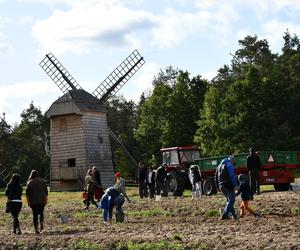 Smaki jesieni w skansenie. Zobacz, co działo się na imprezie w Olsztynku [ZDJĘCIA]