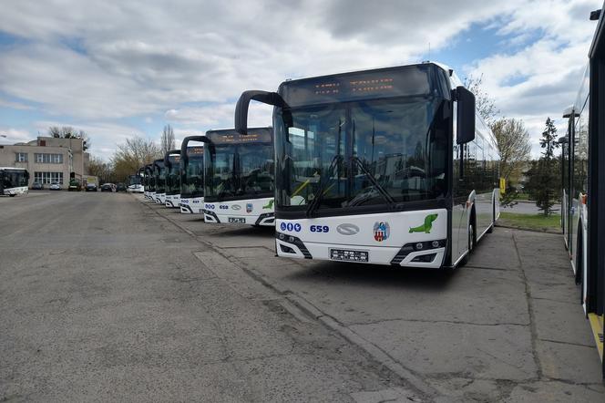 Po majówce na toruńskie ulice wyjadą nowe autobusy 