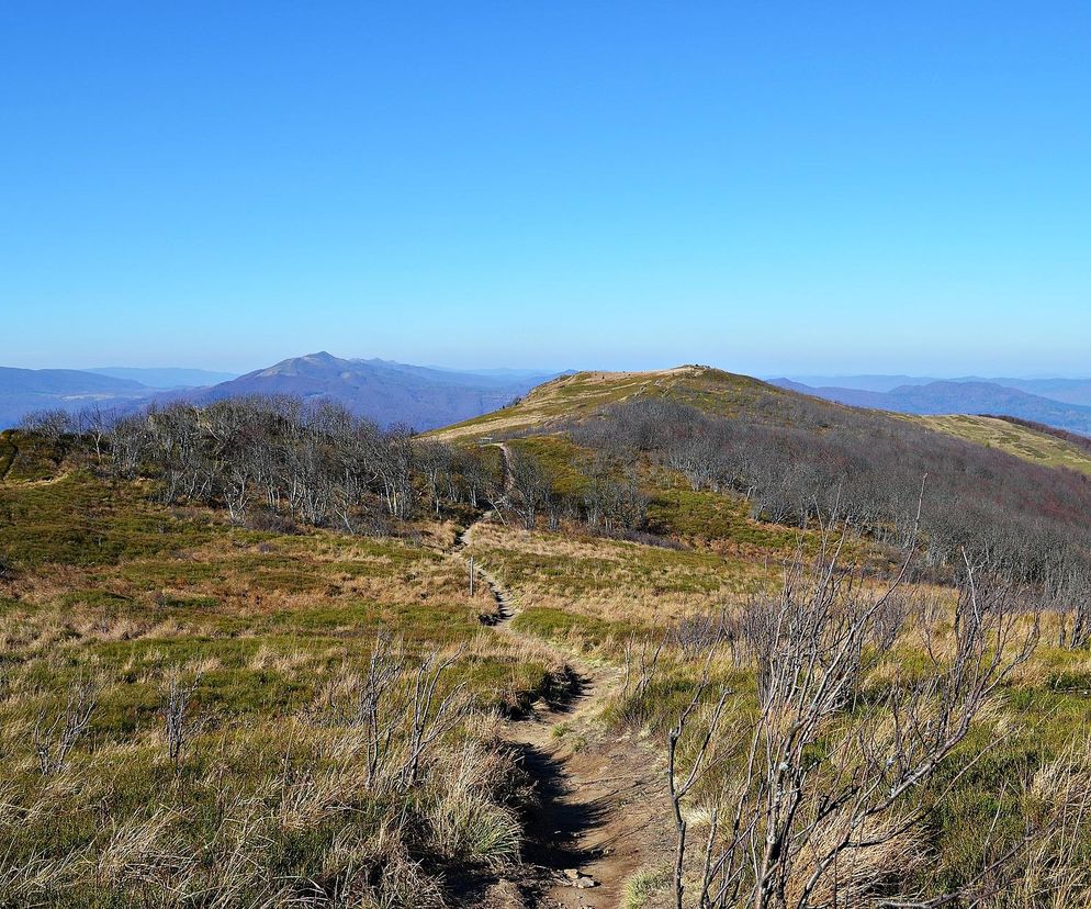 Bieszczady za Tatrami, ale przed Bałtykiem. Oto ukochane miejsca Polaków na wakacje 
