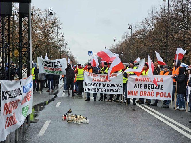 Protest plantatorów tytoniu w Warszawie (3.11.2025)