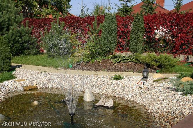 Feng shui: urzadzamy ogrod