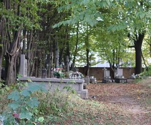 Lubelski cmentarz ukryty wśród drzew. Pochowani tu są mariawici. Zobacz