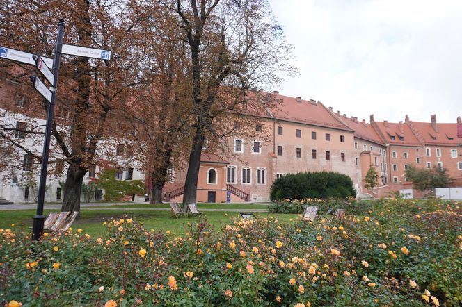 Wawel jesienią