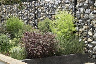 Modne i piękne ogrodzenia z gabionów - zobacz inspiracje