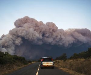 Ogromny pożar we Francji! Spłonął obszar wielki jak Paryż