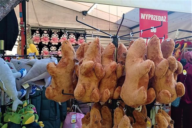 Kołobrzeg po sezonie