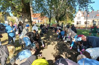 2 tysiące żonkili posadzono na Polu Nadziei w Lesznie. To symbol walki z rakiem [ZDJĘCIA]