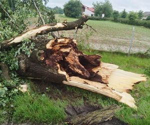 Skutki gwałtownych burz 7 czerwca 2025 w północnej części Lubelszczyzny