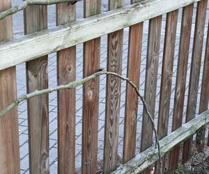 Muzeum Patyka w Toruniu