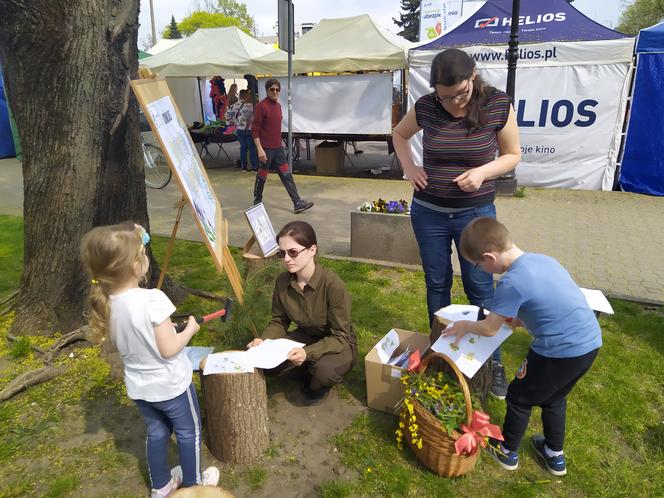 13. Jarmark św. Stanisława w Siedlcach - fotorelacja