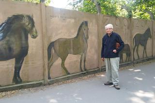 Malarz sam odnawia mural na ogrodzeniu wrocławskiego zoo