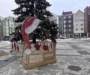 W centrum Gorzowa stanęła choinka! Jak wygląda?