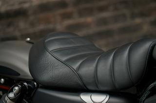 Harley-Davidson Sportster Iron 883