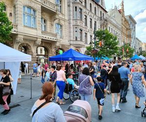 Drugi dzień Łódź Summer Festival. Uczestnicy bawili się w rytmie wielkich hitów 