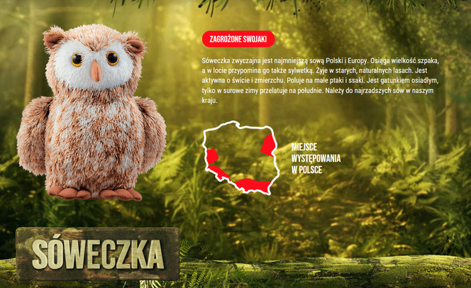 Koniec Gangu Swojaków