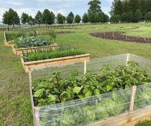 Wyjątkowe miejsce w Wólce Konopnej. Farma toMy dla osób z niepełnosprawnością