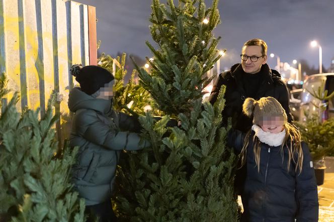 Premier Mateusz Morawiecki kupuje choinkę na święta. 