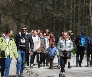 Tłumy w Tatrach przed majówką. Dolina Kościeliska