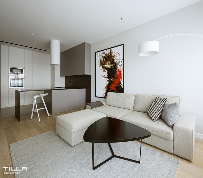 Mieszkanie / 45 m2 / Concept House zdjecie 4