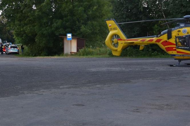 Przerażający wypadek na Lubelszczyźnie! 10-latek zginął na miejscu