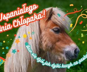 Życzenia na Dzień Chłopaka 