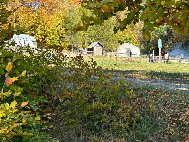 Małopolskie pasmo górskie zachwyca jesiennym pięknem. Ukryta perełka z widokiem na tatry 