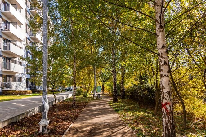 Park linearny na Służewcu w Warszawie pod koniec budowy