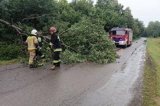 Gwałtowne burze przeszły nad woj. śląskim