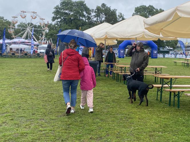 WOLIN Z RYBĄ NA TALERZU.WOLIN I.GALERIA