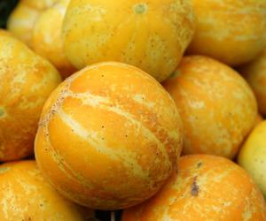 Papieski owoc, który pokocha twoje serce. Dlaczego tak mało osób o nim wie