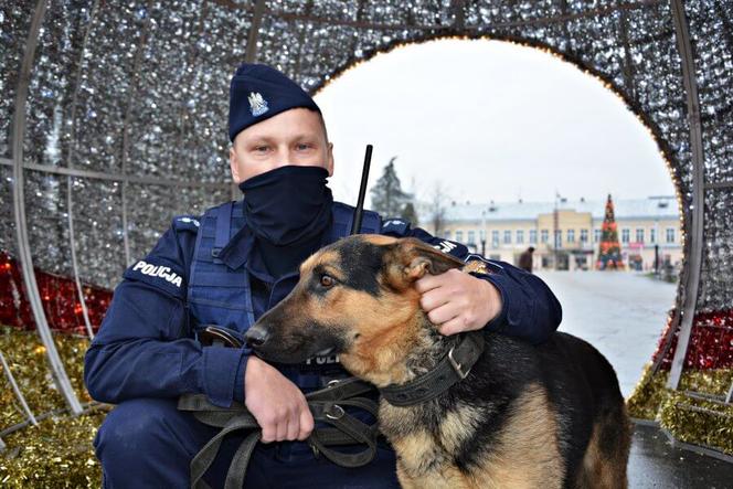 Szarik - nowy policyjny pies w Komendzie Miejskiej Policji w Suwałkach [ZDJĘCIA]