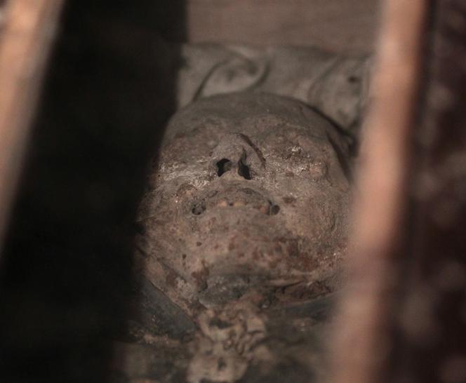 Cała Polska ratuje mumię