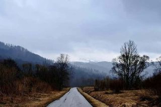 Rezerwat przyrody Sine Wiry 