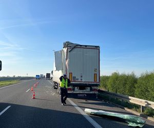 Zderzenie dwóch ciężarówek na S5 koło Rawicza