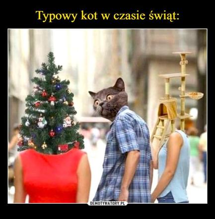 Najlepsze memy o świętach Bożego Narodzenia