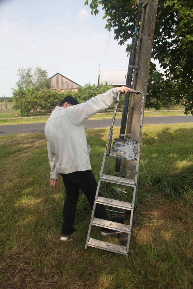 Ratował boćka na słupie, spadł z drabiny