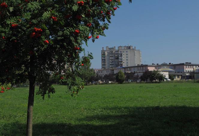 To miejsce za pół roku będzie wyglądało inaczej. Miasto przygotowuje Park Centralny na Felinie