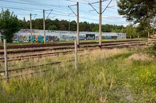 Dzieci bawią się na stercie podkładów kolejowych, sięgają prawie linii energetycznej. Po naszej interwencji jest reakcja PKP PLK