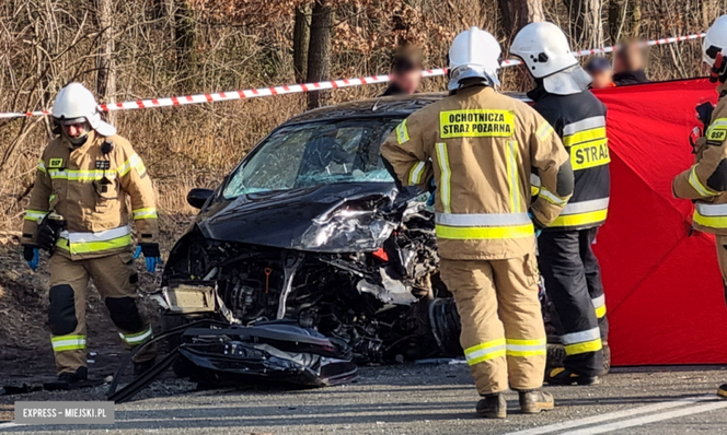 Wypadek na drodze wojewódzkiej nr 395 pod Ziębicami 