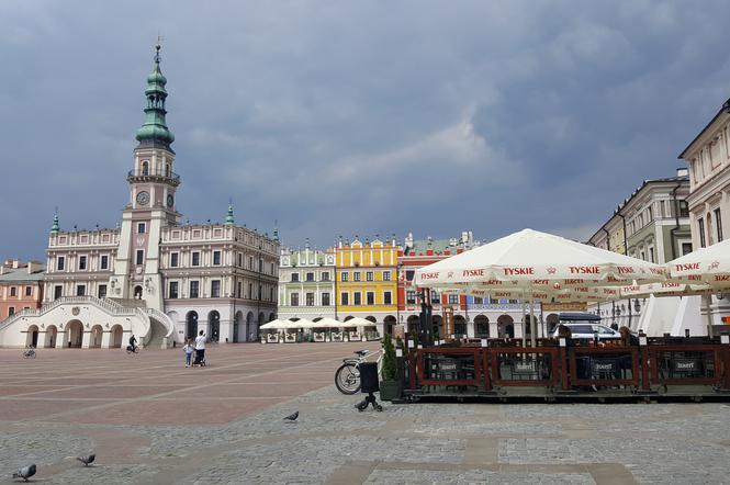 zamość