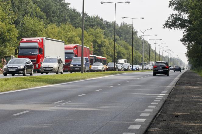 Wyjazd samochodem na święta do rodziny. Co na to rząd? Jest jasna rekomendacja