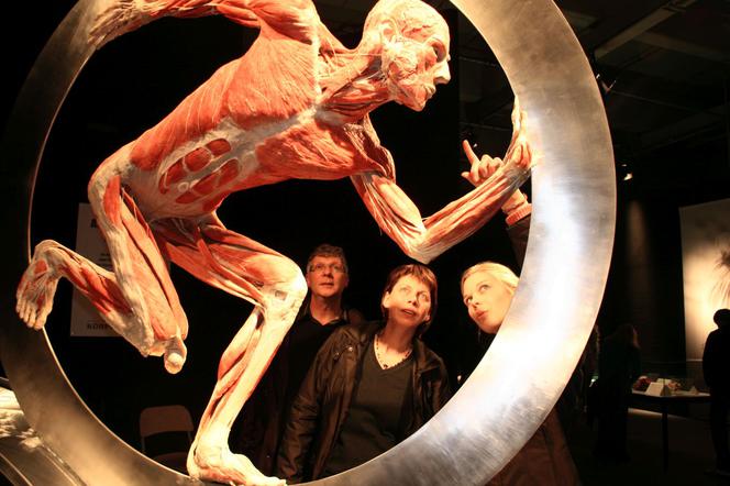 Body Worlds: Wystawa, której nigdy nie zapomnisz