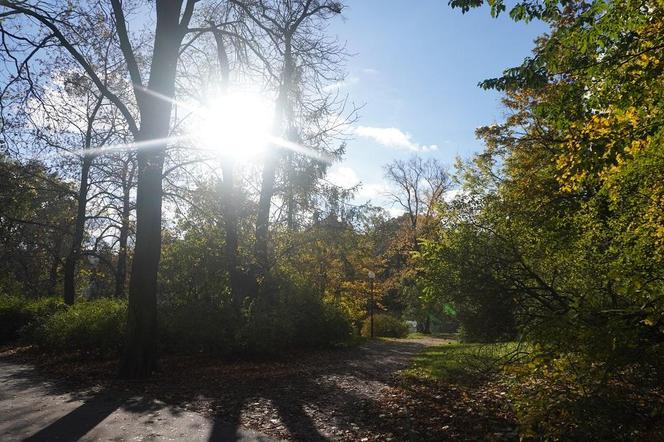 Park Wilsona
