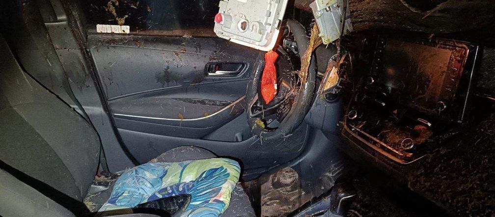 Koszmar na S1! Łoś wyskoczył prosto pod koła toyoty w Mysłowicach