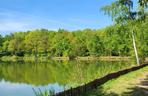 Kraków - Park Tetmajera