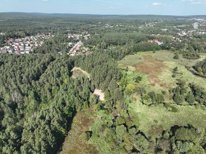 Zalew Bzin w Skarżysku