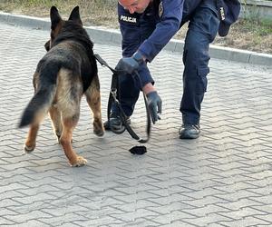 16-latek pchnięty nożem. Bijatyka zakończyłą się fatalnie. Policja szuka sprawcy