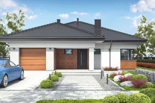 Projekt 100-m parterowego domu