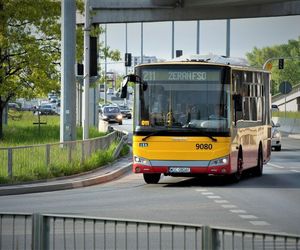 Hybrydowe autobusy Otokar w Warszawie